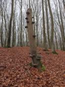 Gwiazdor Kulturysta-Centrum obsługi