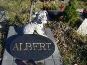 Albert