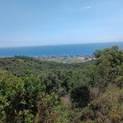 widok
