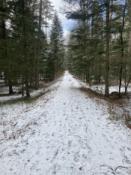 Torowisko