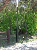 Szukaj za dąbkiem po prawej stronie latarnii (under a small oak tree - right to the street lamp)