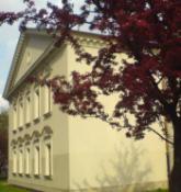 kwitnie i pięknie wygląda