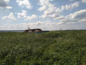 Wrak i okolica