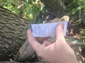 Log