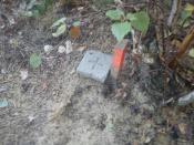 Kilka cm pod ziemia obok słupka