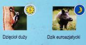 dzień v. noc