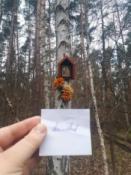 kapliczka