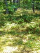 Tam szukaj i maskuj dokładnie ;)