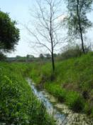 Wiosną woda wypełnia rów