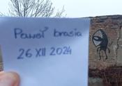 Dąbrowskiego 337