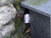 Jeżeli nadal niewiesz gdzie jest kesz to teraz już wiesz