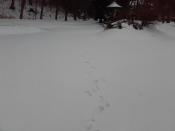 ...moje tropy :-)