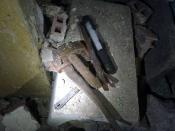 Bywają jeszcze inni, mniej przyjemni lokatorzy.