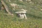 dolmen w polu