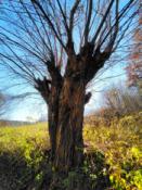 IMG_20211031_125016