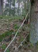 strefa poszukiwań