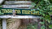 Mirsza