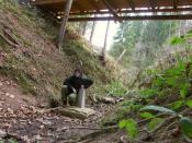 Punkt Zero właściwy