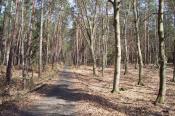 Der Weg zum Cache