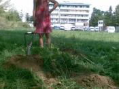 Nasza wersja spoilera jeden metr