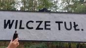 Wilcze Tuł.