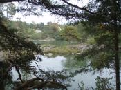 Widok