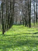 widok od strony skrzynki
