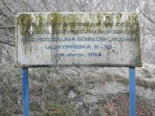 zielony ząb czasu nadgryzł tablicę