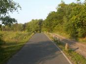 Auto zostawione? To siup do lasu ;)