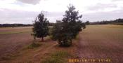 Panorama z góry