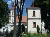 Widoczek 2