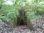 To mniej więcej widzi keszyk.