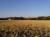 Panorama Warzęgowa