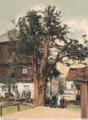 [4] cis w 1907 - pocztówka