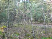 widok od strony skrzynki