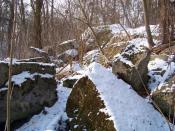 Tyle pozostało ze schronu I.R.S.