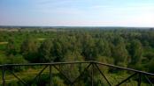 Widok