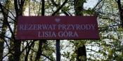 Rezerwat przyrody