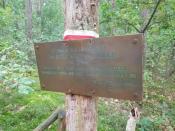 nowa tabliczka