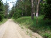 Droga w kierunku cmentarzyka