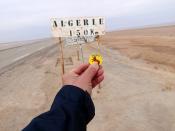 o takie foto proszę