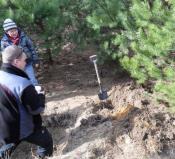 Tu gdzie łopatka...