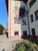  mural