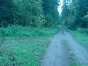 skręt z Szadzkiej Drogi w lewo na żwirownię