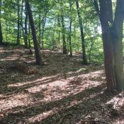 Widok na miejsce ukrycia że ścieżki 