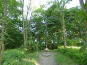 Krzyż ukryty pośród drzew