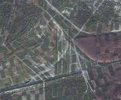 Naturalny kompas i okolica