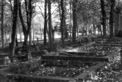 Opuszczony cmentarz przy ul. Chopina, 1963 r
