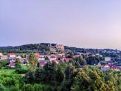 view