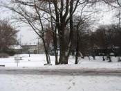 widok na miejsce ukrycia kesza